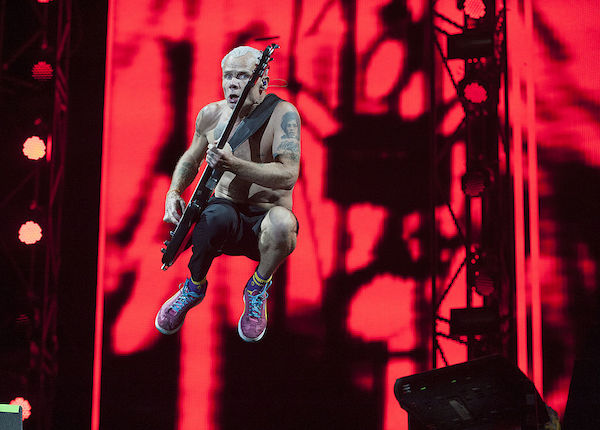 Flea