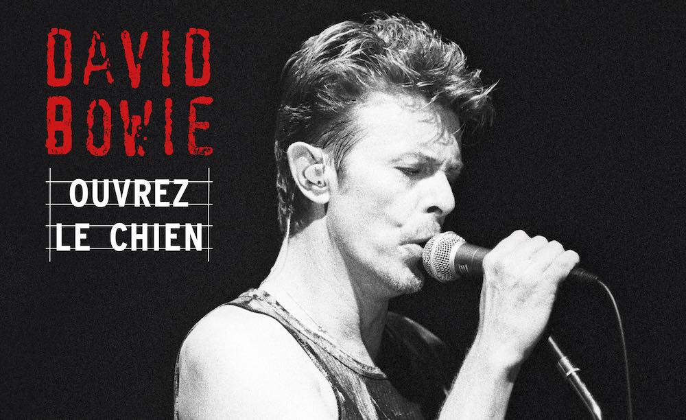 david bowie, ouvrez le chien