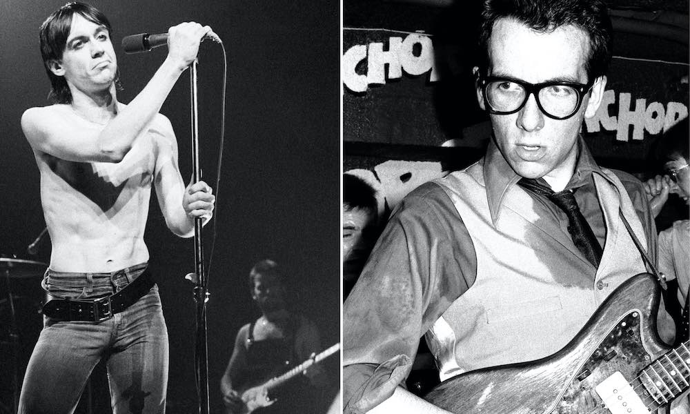 iggy pop, elvis costello