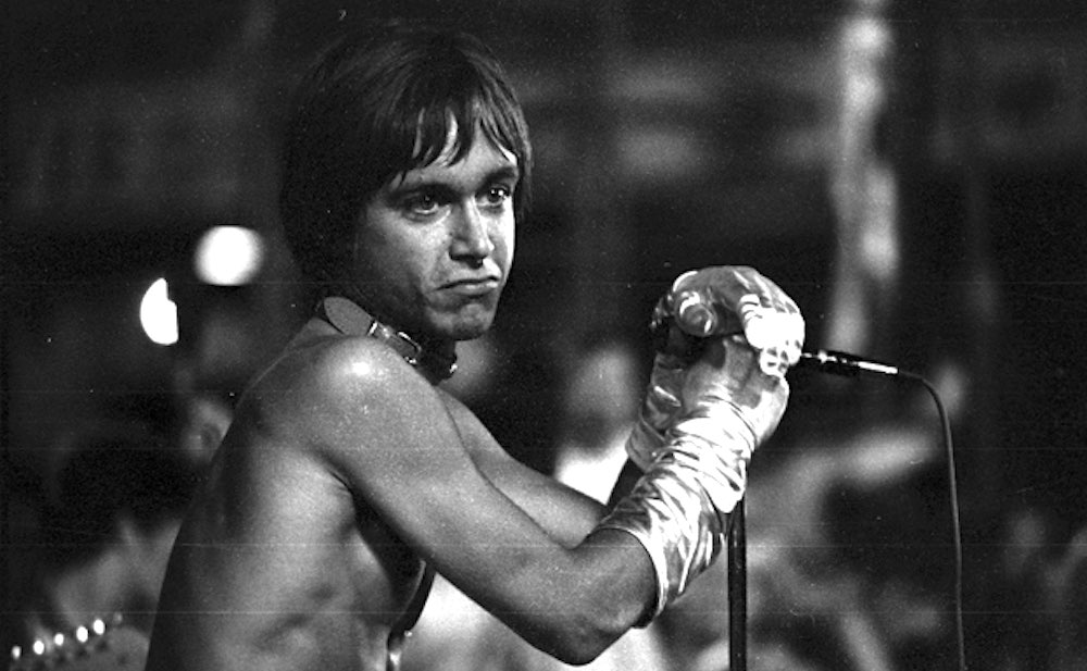 iggy pop