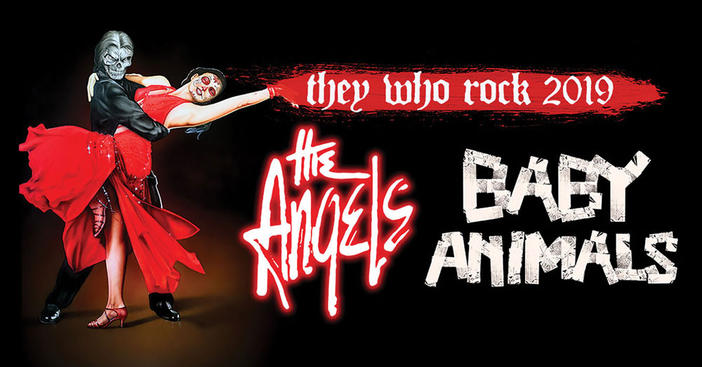 baby animals the angels they who rock tour