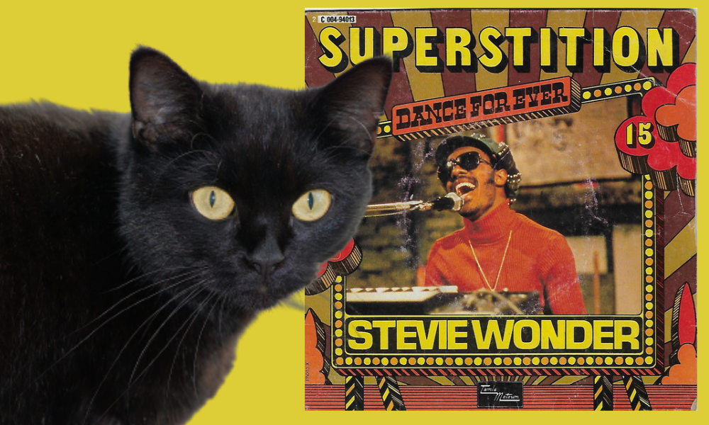 Stevie Wonder