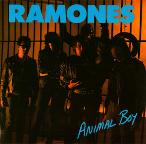 animal boy
