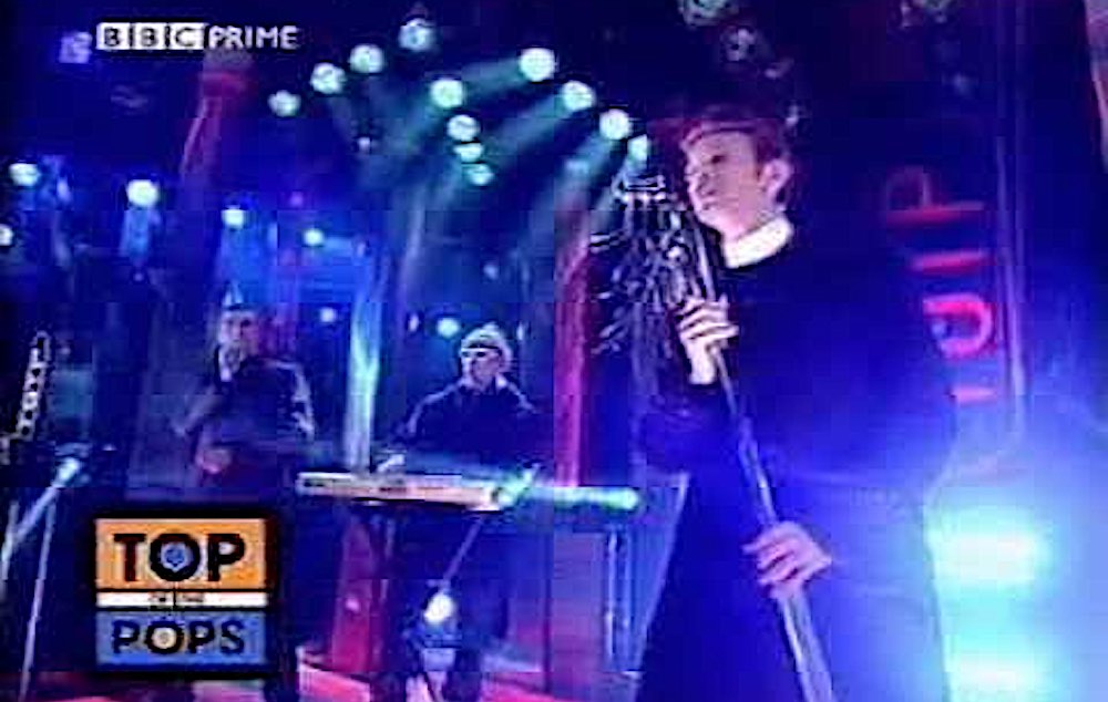 bowie pet shop