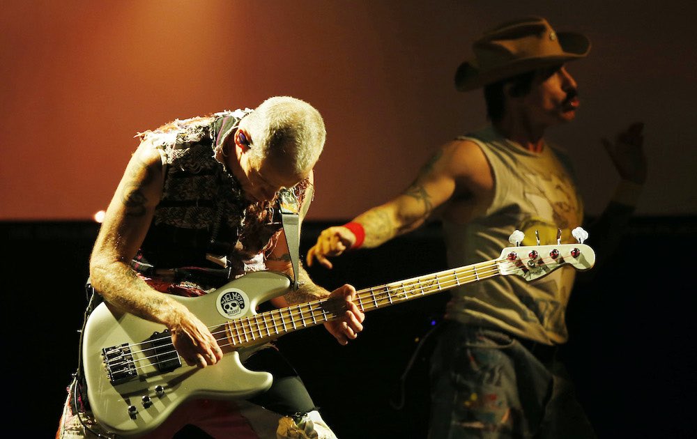 flea