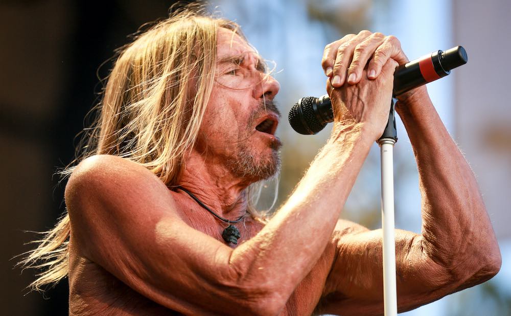 iggy pop