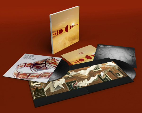 kate bush reissue