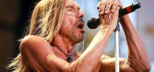 iggy pop