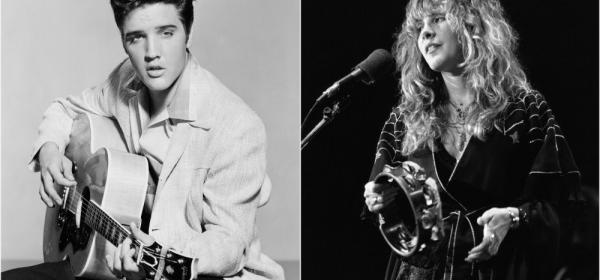 elvis stevie