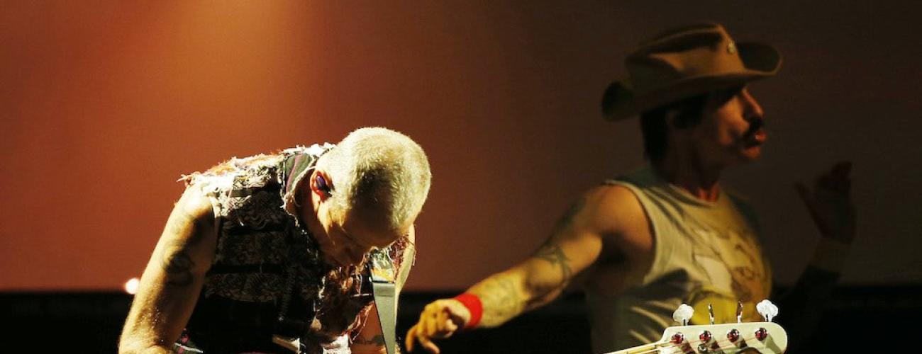flea