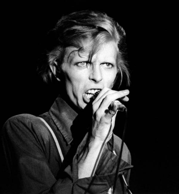 David Bowie's Diamond Dogs Celebrates 45th Anniversary 