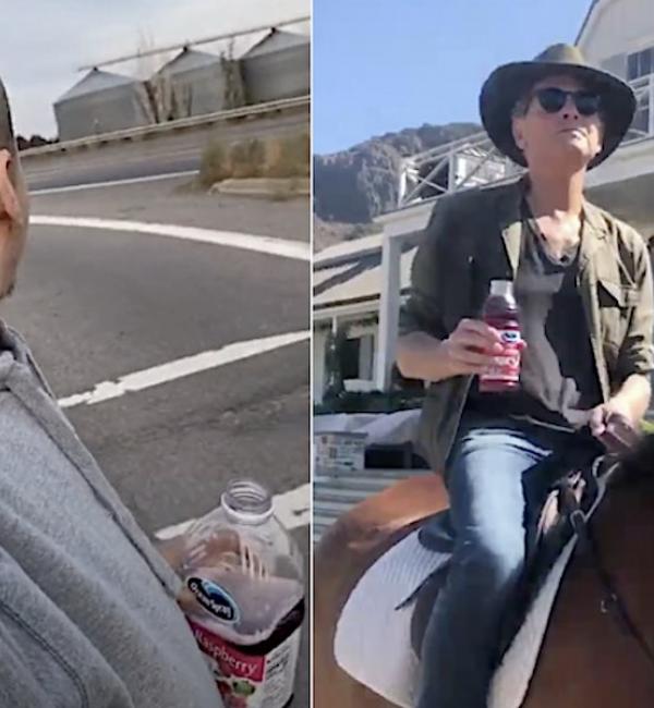 Watch Lindsey Buckingham do the TikTok Fleetwood Mac “Dreams” Challenge on Horseback