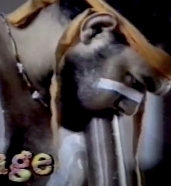 We Have Survived: 6 Anthems Of Indigenous Australia