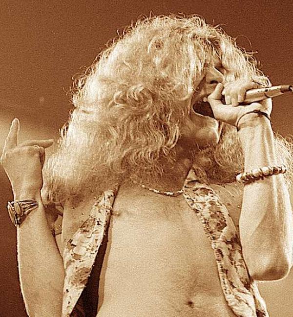 Watch 'Tico' the Parrot Singing Led Zeppelin’s “Stairway To Heaven” 