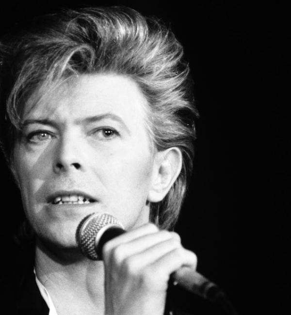 david bowie 