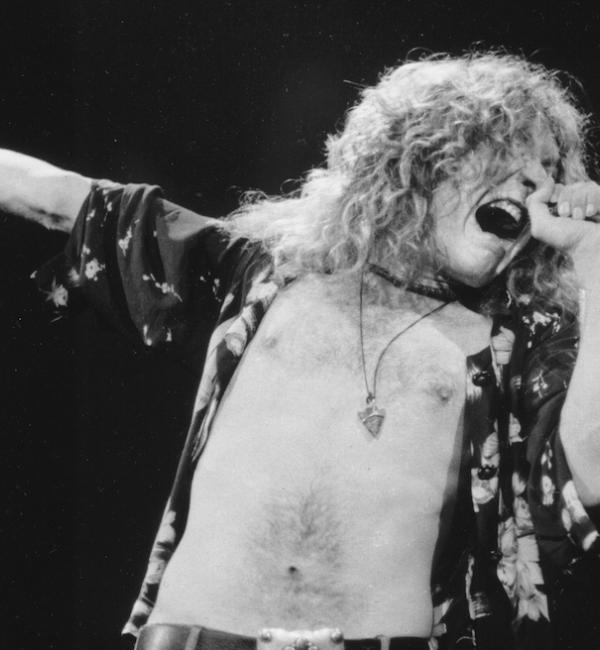 robert plant 