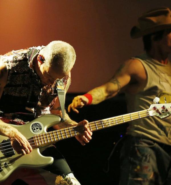 flea