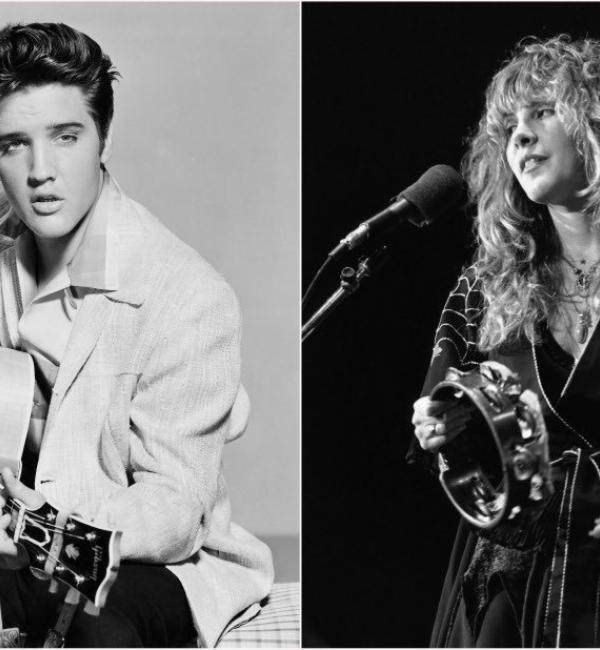 elvis stevie