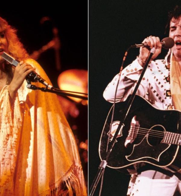 stevie elvis