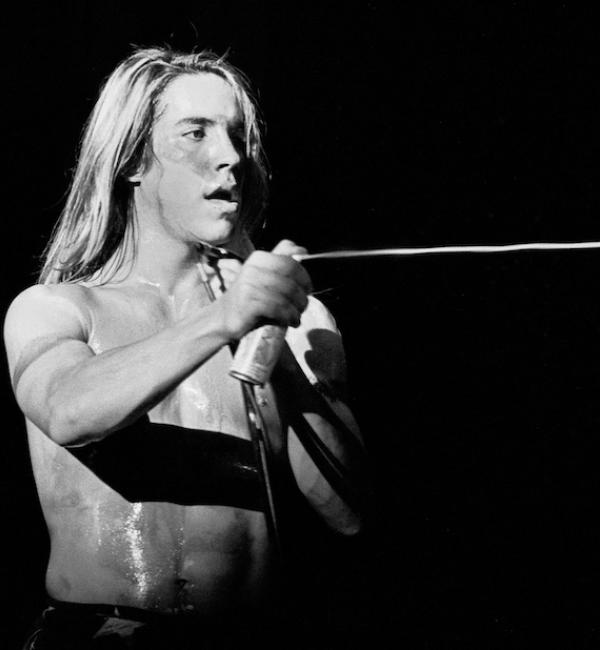 red hot chili peppers 